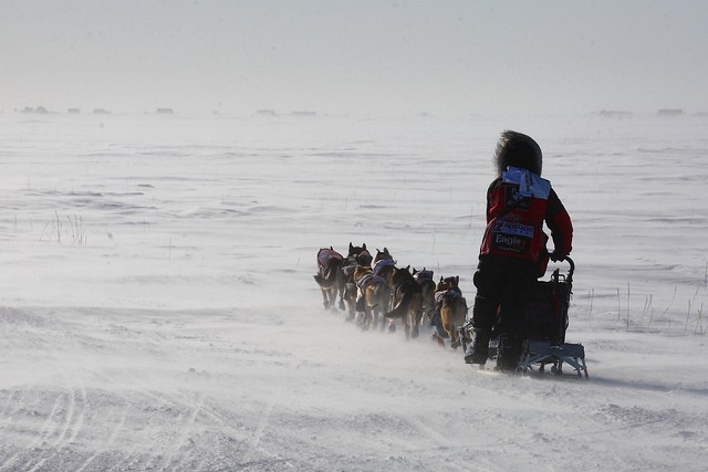 Aliy Zirkle, perpetual Iditarod runner-up.