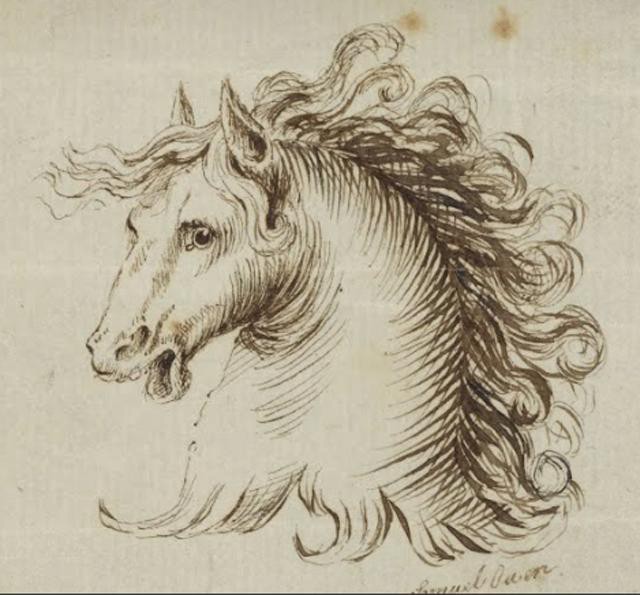 Samuel H Owen--Head of a Horse