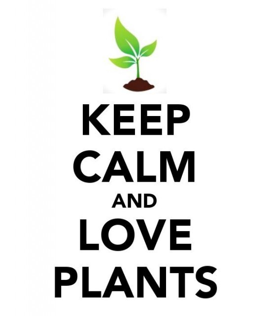 keep-calm-and-love-plants-15