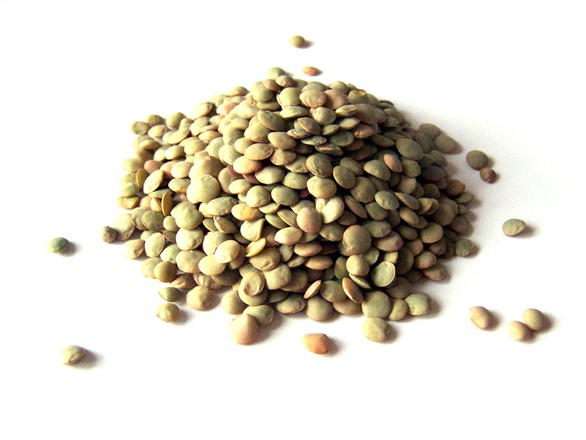 lentil-1-1537200